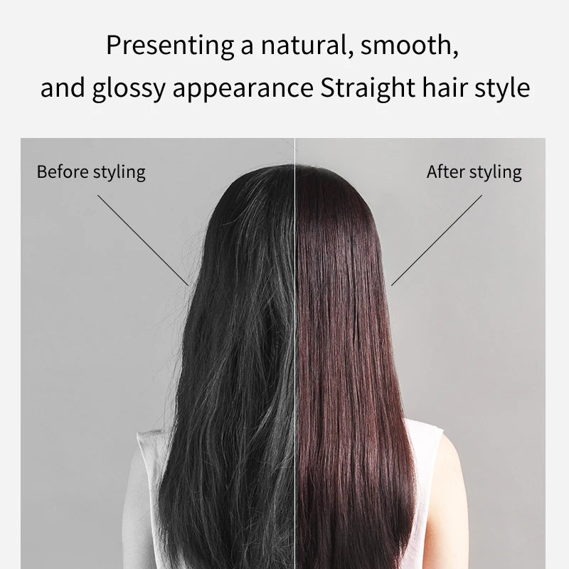 LOMINE AirStyler Pro